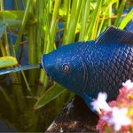 Sujet cracheur d'eau poisson m