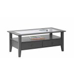Paris prix - table basse 2 tiroirs en bois 'istres' 115cm gris Paris prix - table basse 2 tiroirs en bois 'istres' 115cm gris