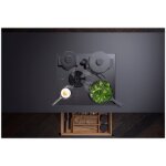 Table de cuisson induction avec dispositif aspirant pursu bora