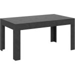 Table rectangulaire extensible 4 � 10 personnes 160 � 220 cm anthracite spatul� tipi