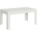Table rectangulaire extensible 4 � 10 personnes 160 � 220 cm cendre blanche tipi