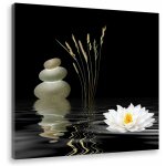 Tableau deco zen composition lotus - 50x50 cm Tableau deco zen composition lotus - 50x50 cm
