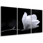 Tableau triptyque deco perfection florale - 90x60 cm