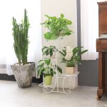 Unho - tagre  fleurs en fer forg - porte plante echelle - escalier pour jardin balcon terrasse - 50 ...