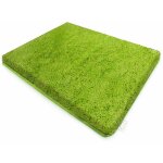 Tapis de bain sky uni vert pomme 80 x 150 cm Tapis de bain sky uni vert pomme 80 x 150 cm