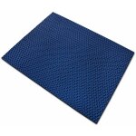 Tapis hygi�nique antid�rapant pour les zones pieds - nus bleu 90 x 100 cm
