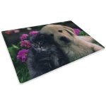 Tapis paillasson num�rique amis cm. 40x60 chien chat fleur