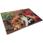 Tapis paillasson num�rique amis cm. 40x60 chien chat panier