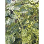 Filet de protection 2x5m