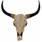 T�te de mort d�corative 64cm troph�e t�te de taureau longhorn polyr�sine int�rieur / ext�rieur naturel ...