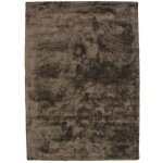 Thedecofactory - art silk - tapis en viscose champagne 133x190 - beige