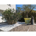 Toile de paillage tiss�e longueur 25m largeur 3, 3m couleur marron 130g m2 grande largeur 3 m�tres similaire ...