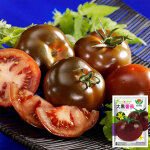 Tomates daheiren noires ? 10 sachets graines de l�gumes 100 graines par sachet pour plantation jardin ...