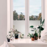 Adh�sif d�coratif pour vitre basic opaque uni 200 x 67, 5cm blanc