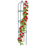 Trellis obélisque, 188 m de hauteur, pour plantes grimpantes, en métal, stable, tour pour rosier, vert ... Trellis obélisque, 188 m de hauteur, pour plantes grimpantes, en métal, stable, tour pour rosier, vert ...