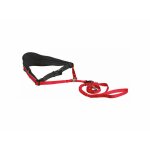 Trixie ceinture ventrale rouge pour jogging avec chien