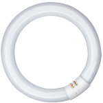 Tube fluorescent circulaire 40w, g10q, 6500 k lumi�re froide �400 mm