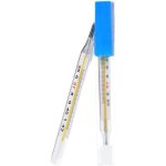 2 pièces médical mercure verre thermomètre adulte bébé mesure de la température corporelle 2 pièces médical mercure verre thermomètre adulte bébé mesure de la température corporelle