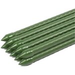 Tuteurs  tomates spirale en acier plastifi ? lot de 10 ? hauteur 60 cm ?  8 mm ? vert - sekey