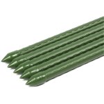 Tuteurs à tomates spirale en acier plastifié ? lot de 5 ? hauteur 60 cm ? ø 8 mm ? vert - sekey Tuteurs à tomates spirale en acier plastifié ? lot de 5 ? hauteur 60 cm ? ø 8 mm ? vert - sekey