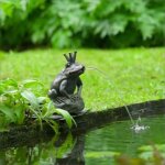 Sujet cracheur roi des grenouilles Sujet cracheur roi des grenouilles