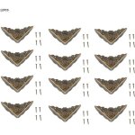 Ulisem12 pièces bronze coin protecteur vintage meubles décoratifs coin pour boîtier en bois bijoux coffre ... Ulisem12 pièces bronze coin protecteur vintage meubles décoratifs coin pour boîtier en bois bijoux coffre ...