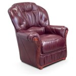 Vente - unique - fauteuil 100% cuir de buffle bordeaux daphne
