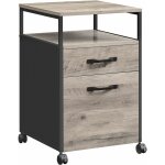 Vasagle caisson de bureau  2 tiroirs, rangement document  roulettes, mobile, compartiment ouvert, cadre ...
