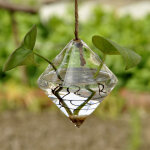 Vase hydroponique de bureau en verre transparent en forme de diamant, terrarium pour plantes de jardin, ...