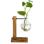 Vase en verre transparent avec support bois pour plantes - d�coration de table et int�rieur