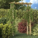 Vidaxl - arche pour rosiers 150 x 60 x 204 cm bois imprégné Vidaxl - arche pour rosiers 150 x 60 x 204 cm bois imprégné