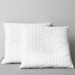 Oreillers lot de 2 80x80x14 cm mousse � m�moire de forme vidaxl