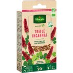 Engrais vert trfle incarnat - bio - petit modle vilmorin