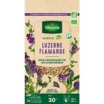 Graines de luzerne flamande bio , boite de 60 grs Graines de luzerne flamande bio , boite de 60 grs