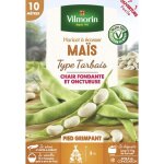 Haricot grimpant � ecosser ma�s (type tarbais) - 10 m vilmorin