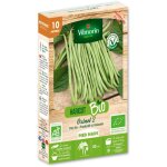 Haricot nain vert oxinel 2 - 10 m - bio vilmorin