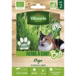 Herbe  chat (orge) - bio - grand modle vilmorin