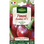 Piment bomber hf1 - cuisine du monde vilmorin