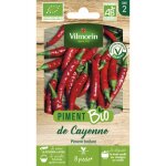 Piment de cayenne - bio vilmorin Piment de cayenne - bio vilmorin