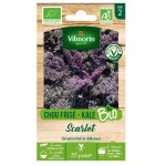 Sachet de graines chou frisé ( kale ) rouge scarlet bio Sachet de graines chou frisé ( kale ) rouge scarlet bio