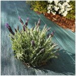 Toile de paillage tissée 90 g / m² 1. 6 m x 20m Toile de paillage tissée 90 g / m² 1. 6 m x 20m