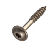 Vis charpente t�te disque inox a2 8x50 filetage total torx t40 diam�tre de t�te: 20 - 30 pi�ces