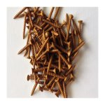 Vis � t�te laqu�e l 3cm (x100) pour bardage - coloris - beige clair, longueur de la vis - 30 mm