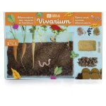 Vivarium - observation des racines et vers de terre