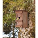 Windhager - nichoir  oiseaux en bois massif verni