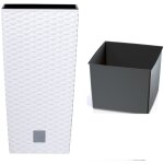Zanvic - pot de fleurs haut rato drts225 avec insert blanc