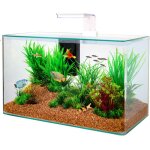 Zolux - kit aquarium aqua clear 50 blanc