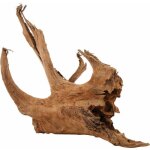 Racine naturelle mangrove 40 / 60 cm