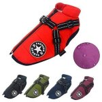 1 pi�ce manteaux pour chiens imperm�ables avec harnais v�tements pour chiens chauds et confortables conception ...