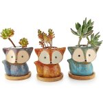 10cm petit cache pots pour cactus avec plateau bambou lot de 3, mignon renard cactus pot de succulente ...